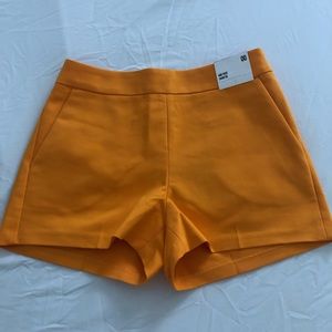Golden color slack shorts NWT size 00